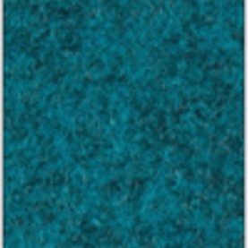 Focus_col_66221.jpg
